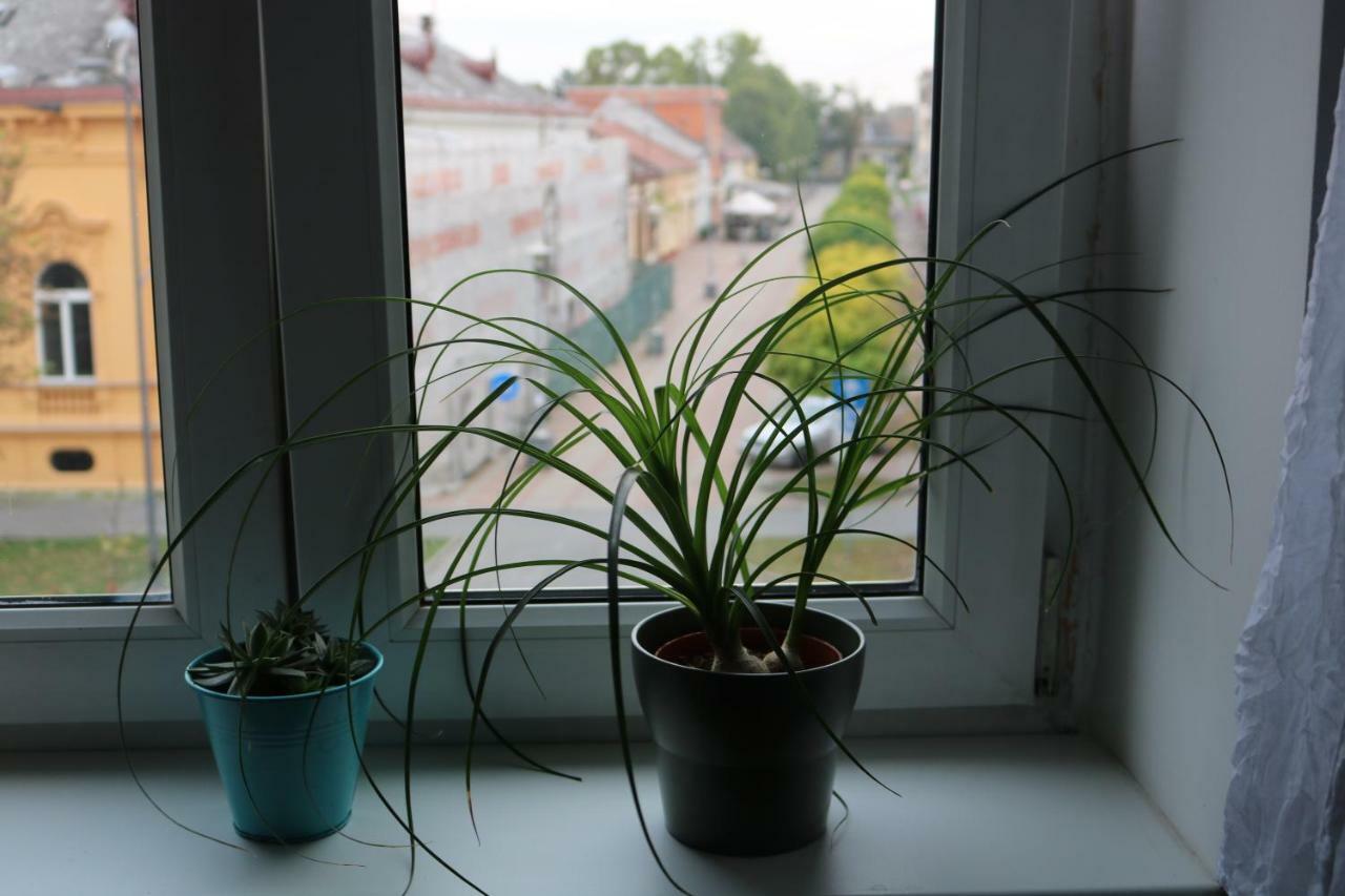 Apartment F6 Осиек Екстериор снимка